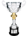 Silver Metal Cup Award Trophy with Plastic Base
