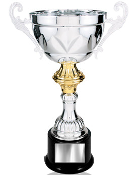 Silver Metal Cup Award Trophy with Plastic Base
