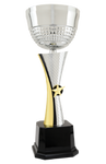Silver and Gold Textured Metal Cup Trophy Award