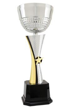 Silver and Gold Textured Metal Cup Trophy Award