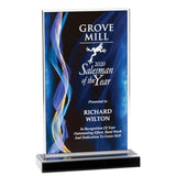 Color Illusion Acrylic Award Plaque