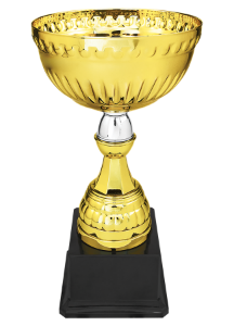 Small Gold Trophy Cup Award