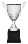 Large Silver Metal Cup Trophy Award
