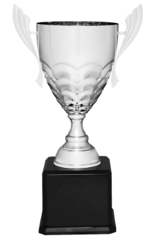 Large Silver Metal Cup Trophy Award